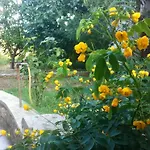 Dunja Apartman
