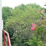 Dunja 公寓 普莱曼图拉