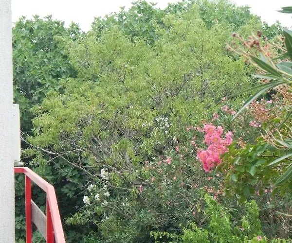 Dunja Appartement Premantura