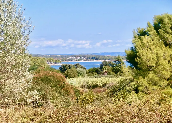 Dunja Apartament Premantura
